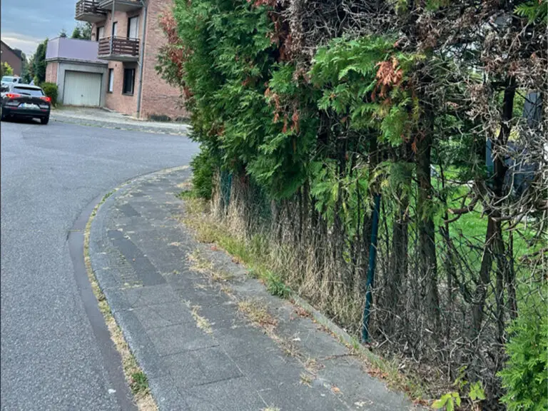 Screenshot 2026-02-05 124748