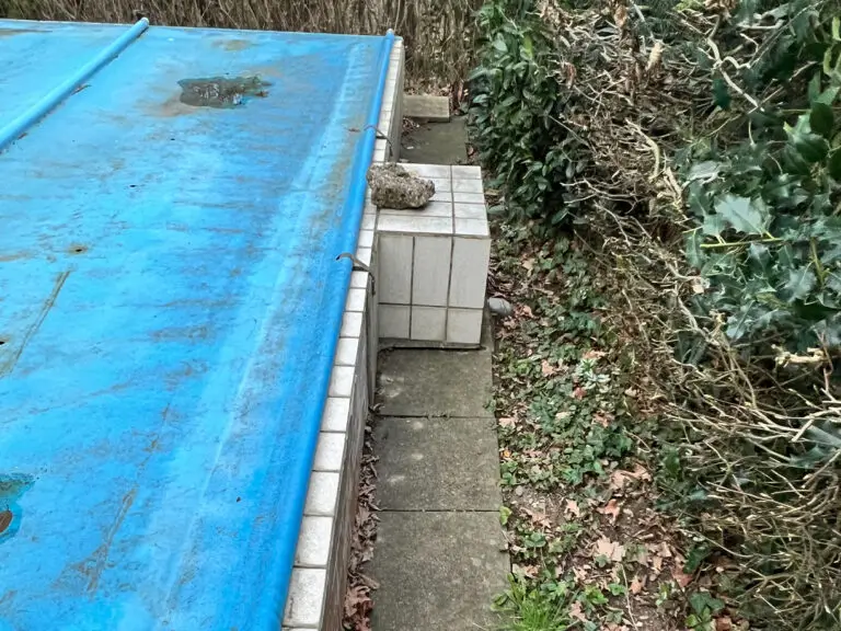 Screenshot 2026-02-05 124750