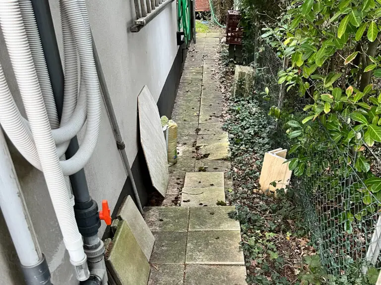 Screenshot 2026-02-05 124751